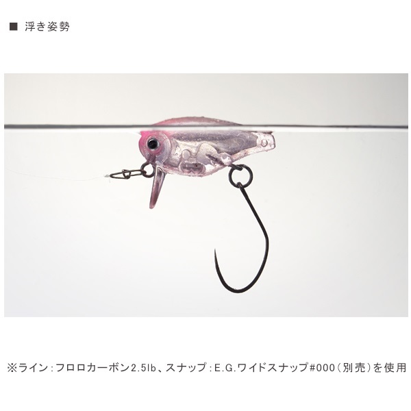 アルチザン　キラーバグ　23